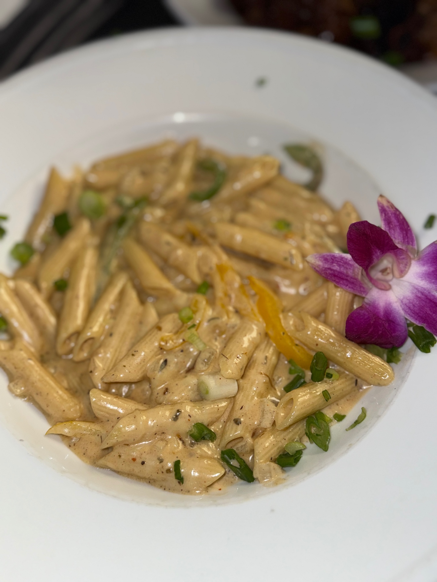 Rust Pasta Spice Restaurant & Lounge | Richmond VA Restaurant, Lounge & Nightlife